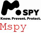 Mspy Google